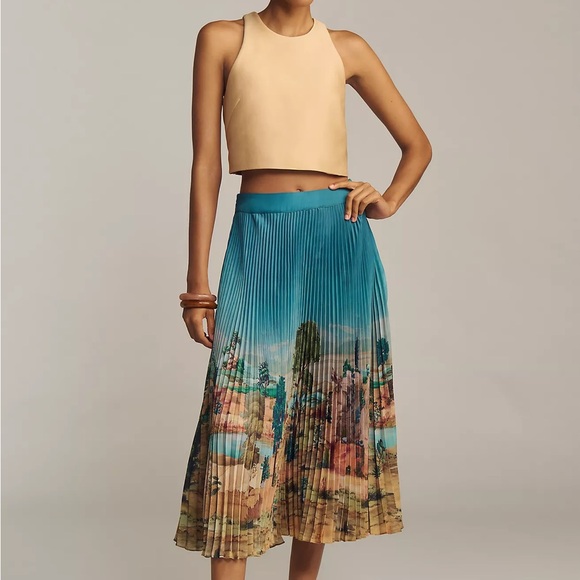 Ranna Gill Tuscany Pleated Midi Skirt Size Small NWOT Anthropologie Colorful - Picture 2 of 4